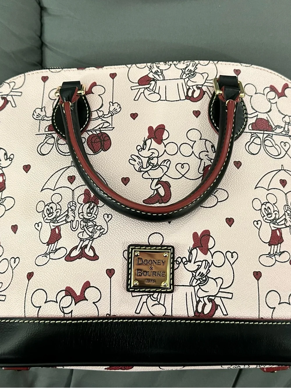 Dooney & Bourke charming dome